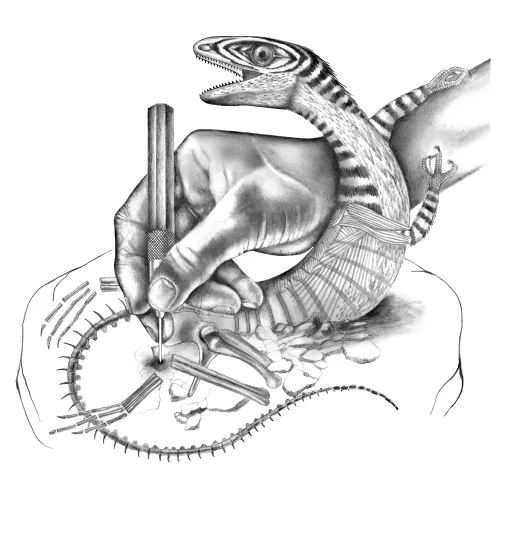 Illustration of a human hand drawing a dinosaur as it leaps off the page. 